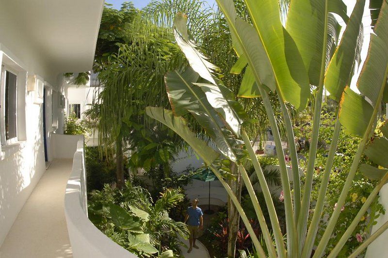 Aqualuna Boutique Hotel By Sunrise (Adults Only) Playa del Carmen Esterno foto